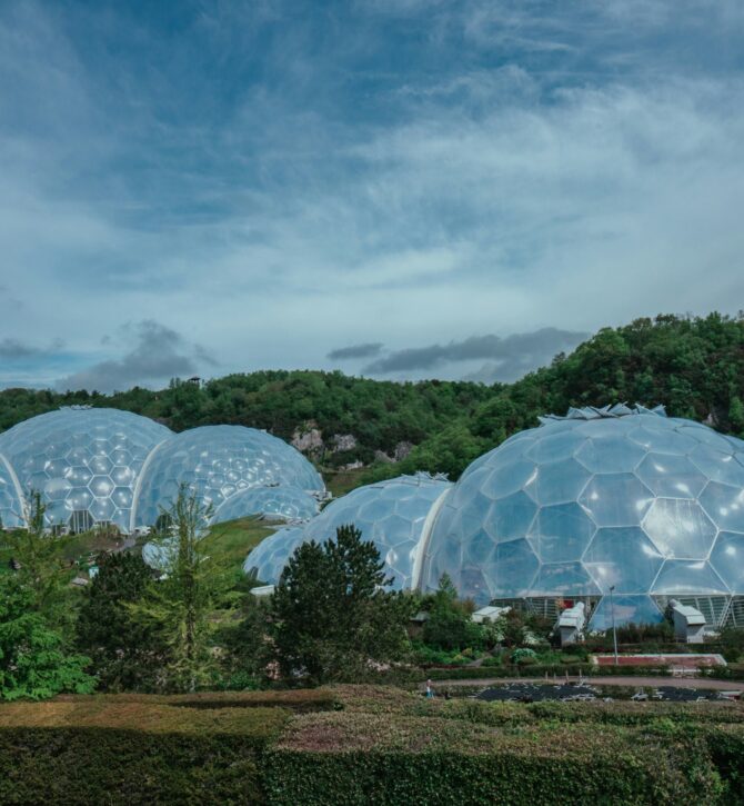 The Eden Project
